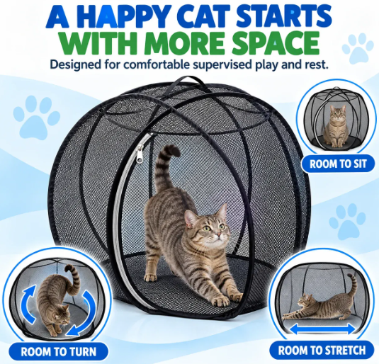 Rolling Cat Tent – Portable Panoramic Outdoor Enclosure & Rolling Cat Sphere