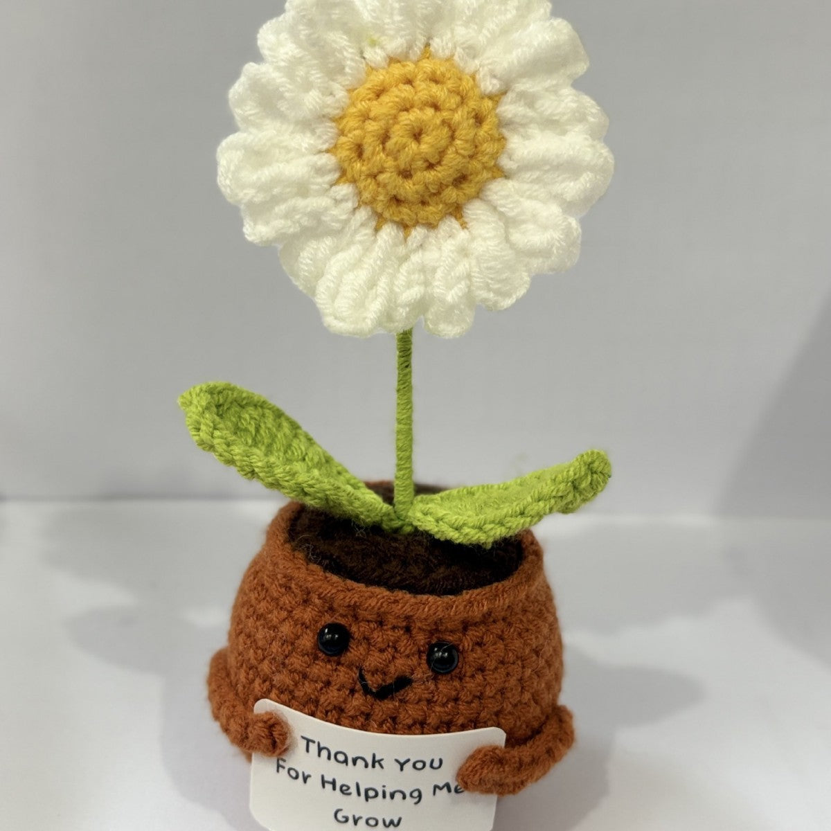 🌱Handmade Crochet Emotional Support Plant Potted